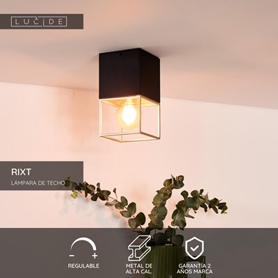 Lucide RIXT - Lámpara de techo - 1xE27 - Negro